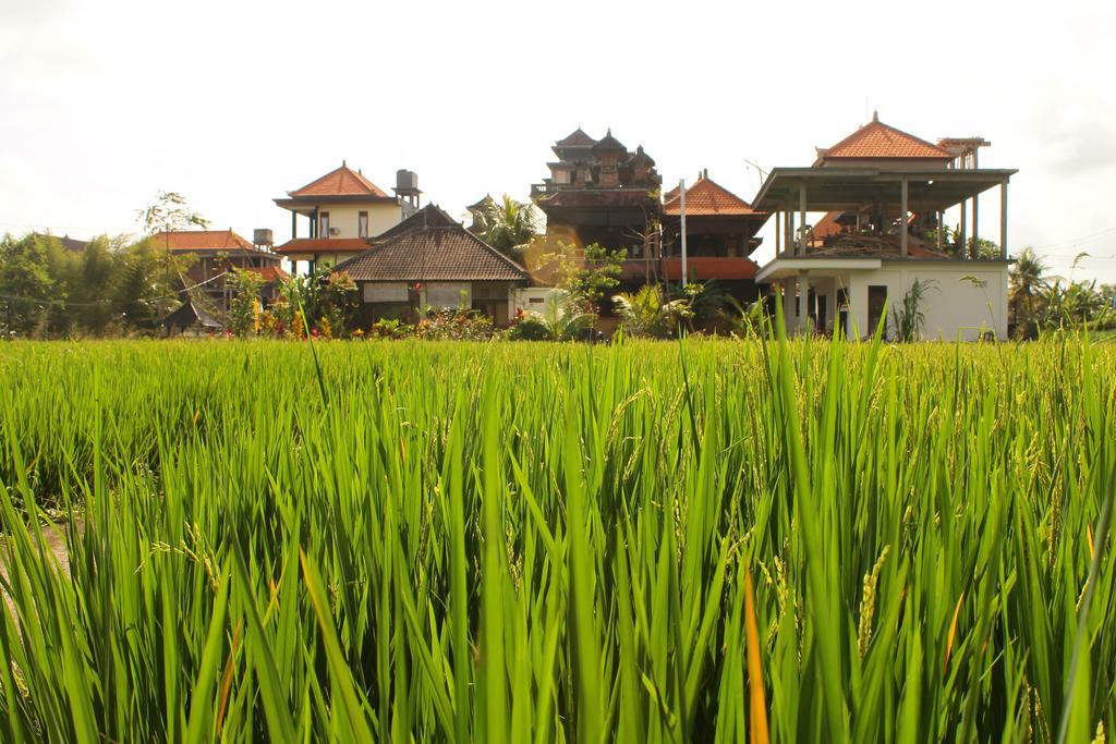 Cenik House Ubud Exteriör bild