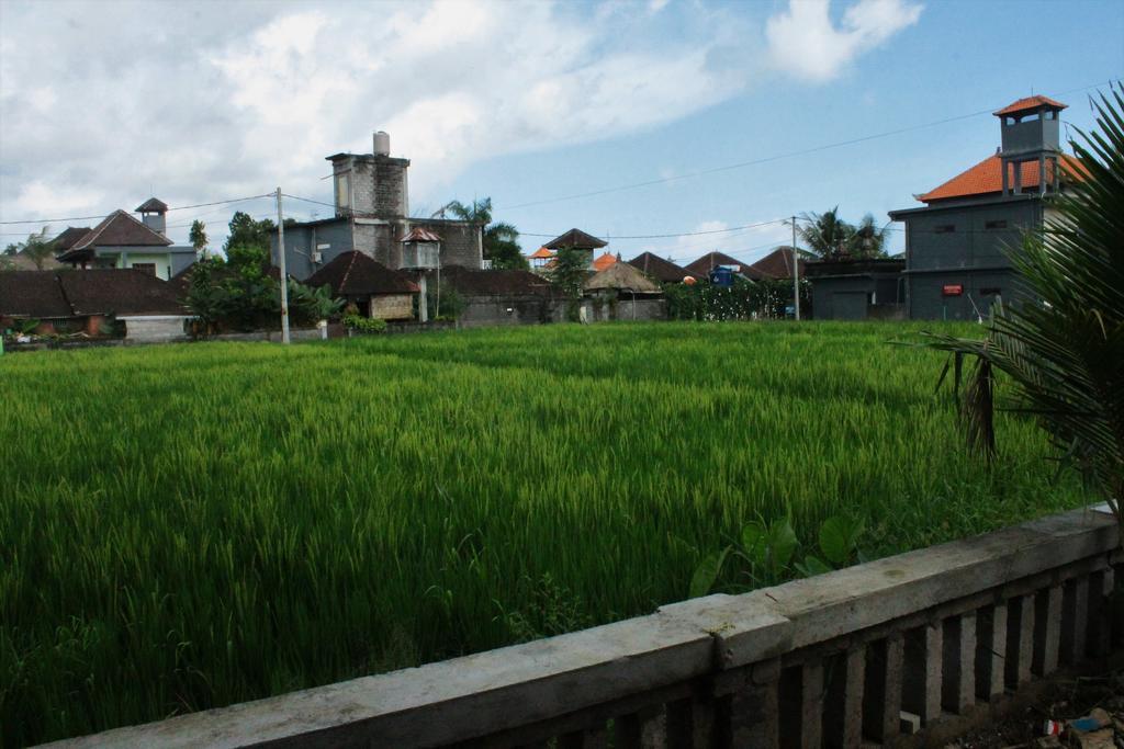 Cenik House Ubud Exteriör bild